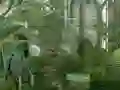Žaidimas Mystery Garden Escape internete