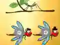 Žaidimas Find Dragonfly Cooper internete