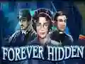 Žaidimas Forever Hidden internete