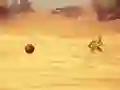 Žaidimas Monkey Shooting internete