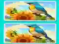 Žaidimas Spot the Difference The Garden internete