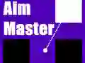 Žaidimas Aim Master internete