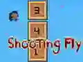 Žaidimas Shooting Fly internete
