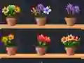 Žaidimas Good Flower Master internete