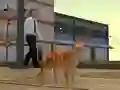 Žaidimas Cat City Simulator internete