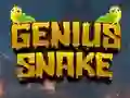 Žaidimas Genius Snake internete