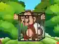 Žaidimas Free the Captive Ape internete