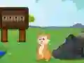 Žaidimas Rescue the Squirrel from Stone internete