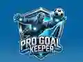 Žaidimas Pro Goal Keeper internete