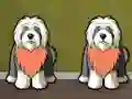 Žaidimas Find Dog Bailey internete
