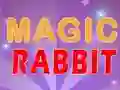 Žaidimas Magic Rabbit internete