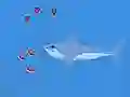 Žaidimas Oceans Shees internete