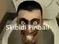 Žaidimas Skibidi Pinball internete