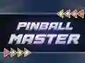 Žaidimas Pinball Master internete