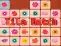 Žaidimas Tile Match internete