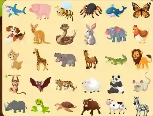 Žaidimas Discover Animals internete