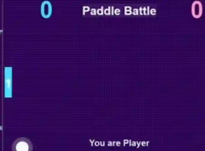 Žaidimas Paddle Battle internete