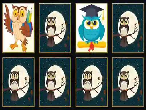 Žaidimas Cute Owl Memory internete