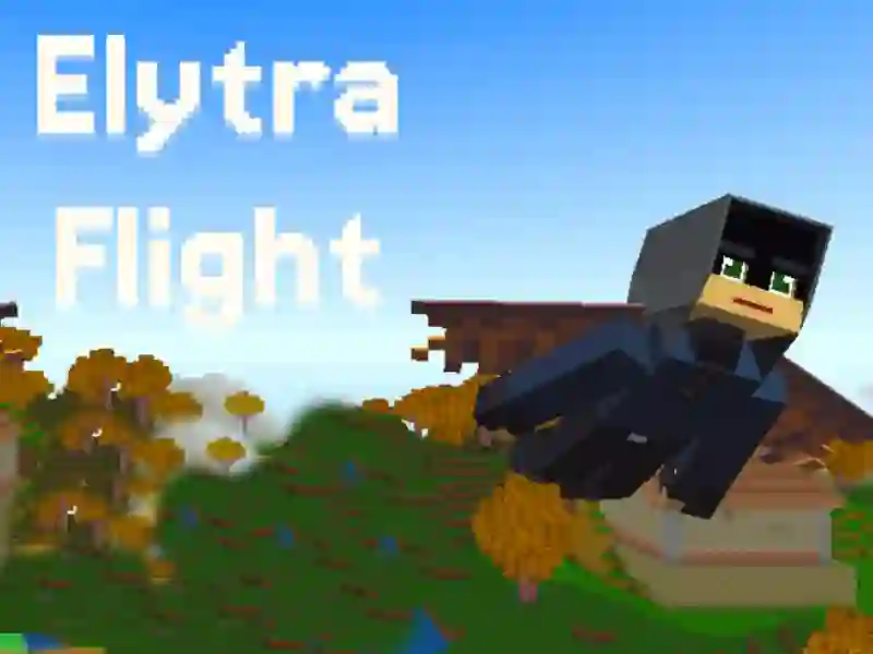 Žaidimas Elytra Flight internete