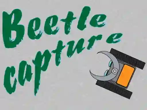 Žaidimas Beetle Capture internete