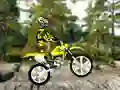 Žaidimas Trial Bike 2 internete
