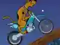 Žaidimas Scooby Doo Trail internete