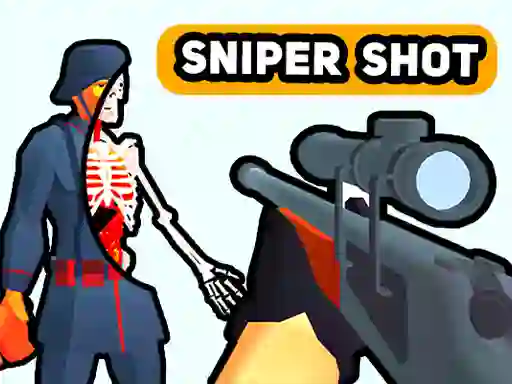 Žaidimas Sniper Shot: Bullet Time internete