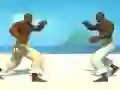 Žaidimas Capoeira fighter internete