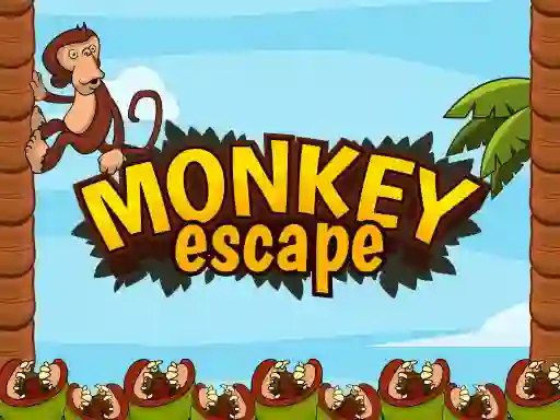 Žaidimas Monkey Escape internete