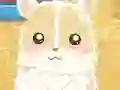 Žaidimas Hamster Love internete