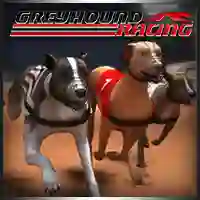 Žaidimas Greyhound Racing internete