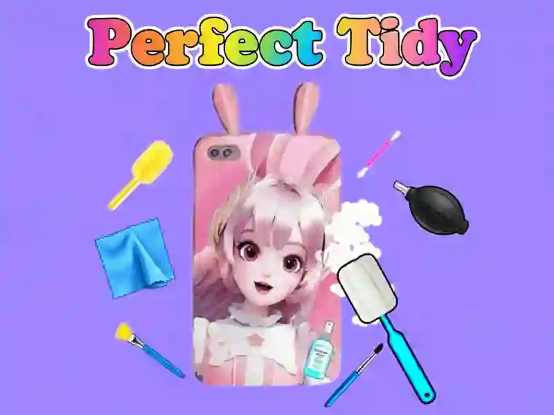 Žaidimas Perfect Tidy internete