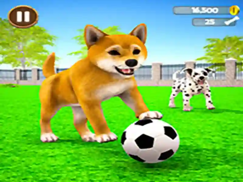 Žaidimas My Virtual Dog Care internete