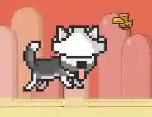 Žaidimas Mr Jump Husky internete