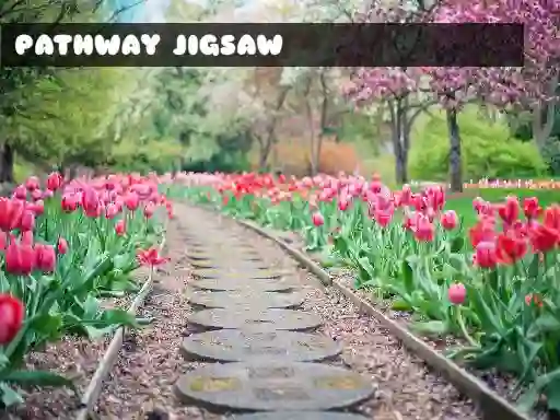 Žaidimas Pathway Jigsaw internete