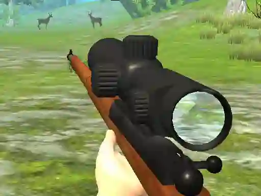 Žaidimas Hunter 3D internete