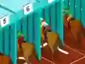 Žaidimas Derby racing internete