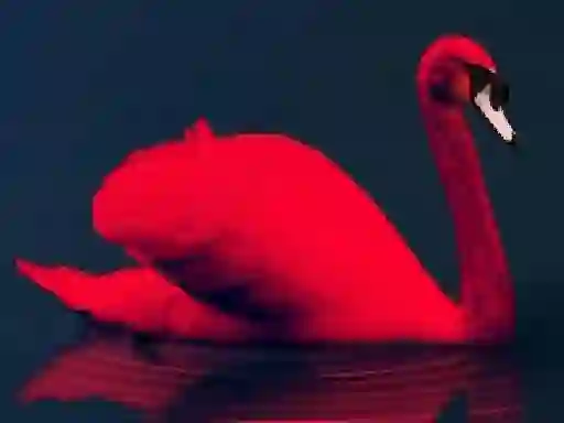 Žaidimas Love Birds Puzzle internete