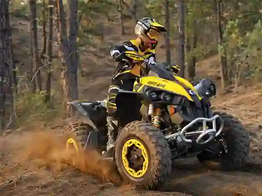 Žaidimas ATV Offroad Puzzle internete