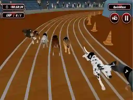 Žaidimas Crazyl Dog Racing Fever internete
