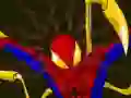 Žaidimas Spiderman Customization internete