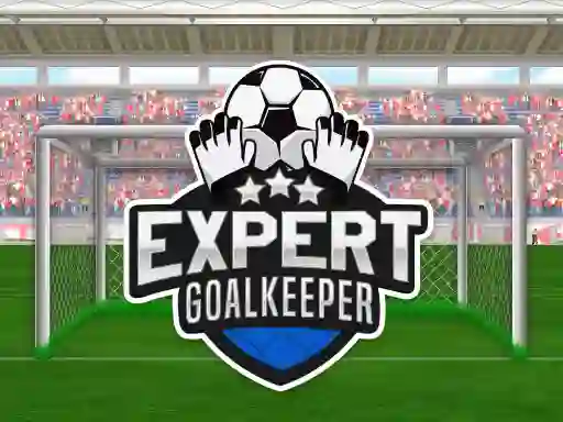 Žaidimas Expert Goalkeeper internete