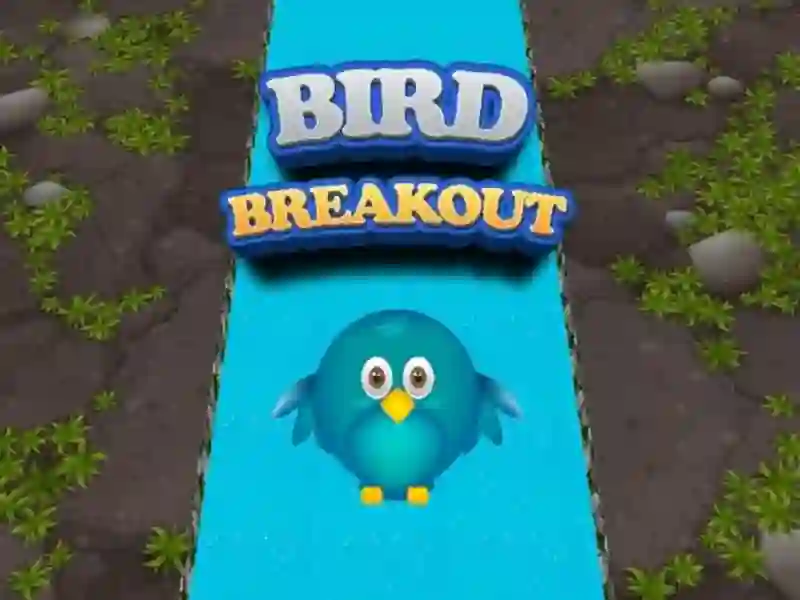 Žaidimas Bird Breakout internete