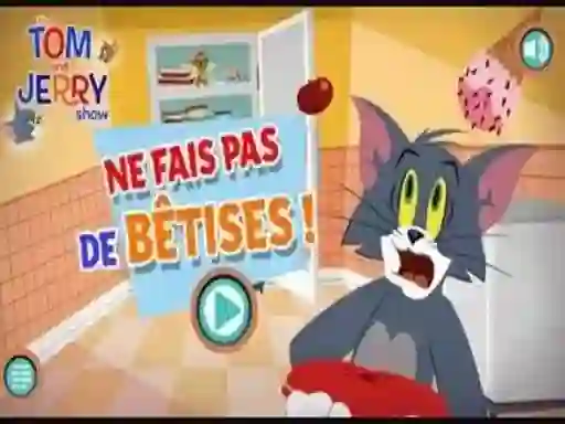 Žaidimas Ne fais pas de b?tises internete