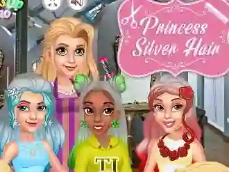 Žaidimas Princess Silver Hair internete