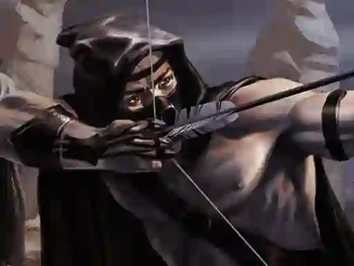 Žaidimas Shadow Archers internete
