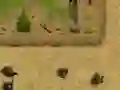 Žaidimas Ambush internete