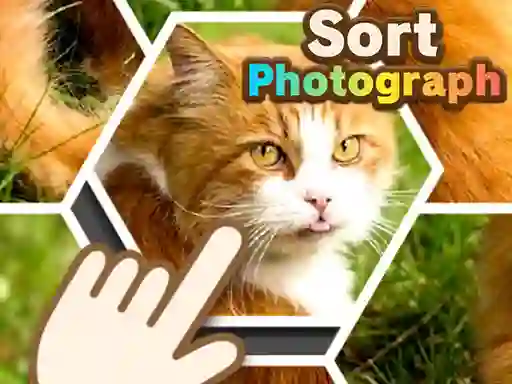 Žaidimas Sort Photograph internete