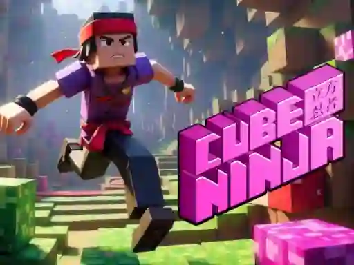 Žaidimas Cube Ninja internete
