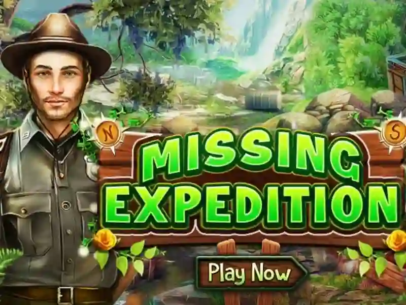 Žaidimas Missing Expedition internete